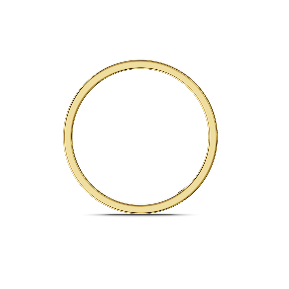 Basics Vulcano Ring in 18kt gold vermeil over 925 sterling silver, front view
